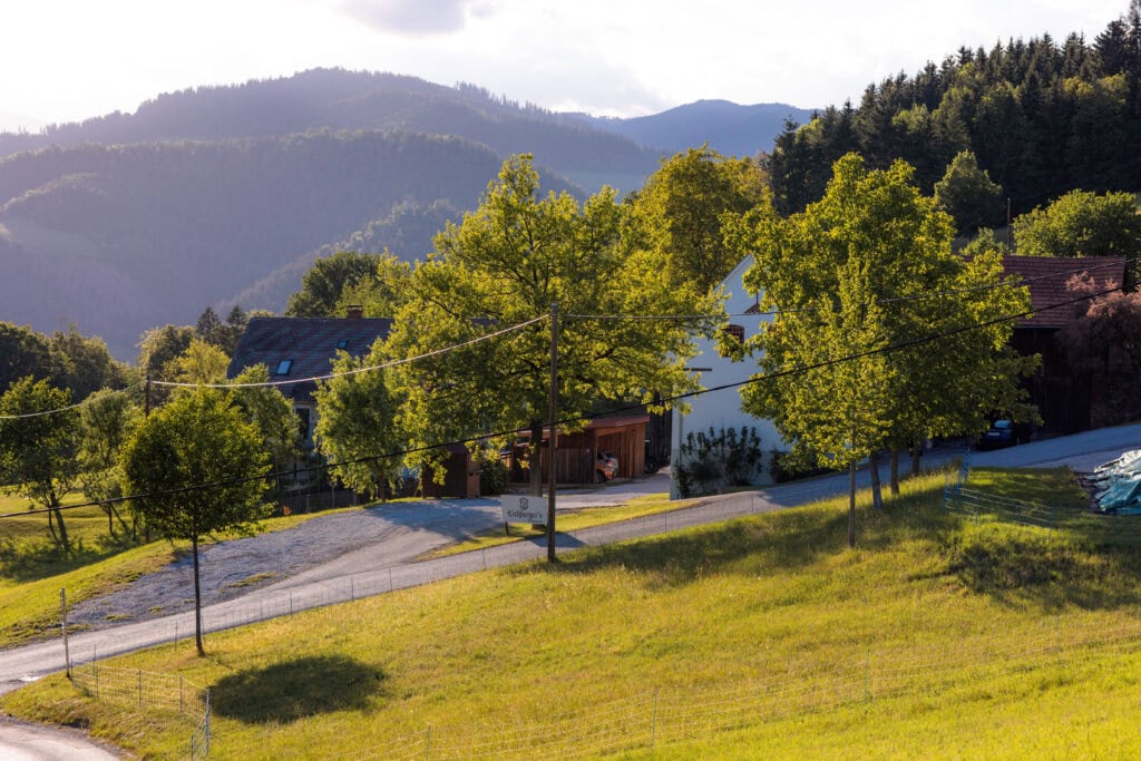 Grüne Bäume und Hügel in einer ländlichen Umgebung bei Sonnenuntergang.