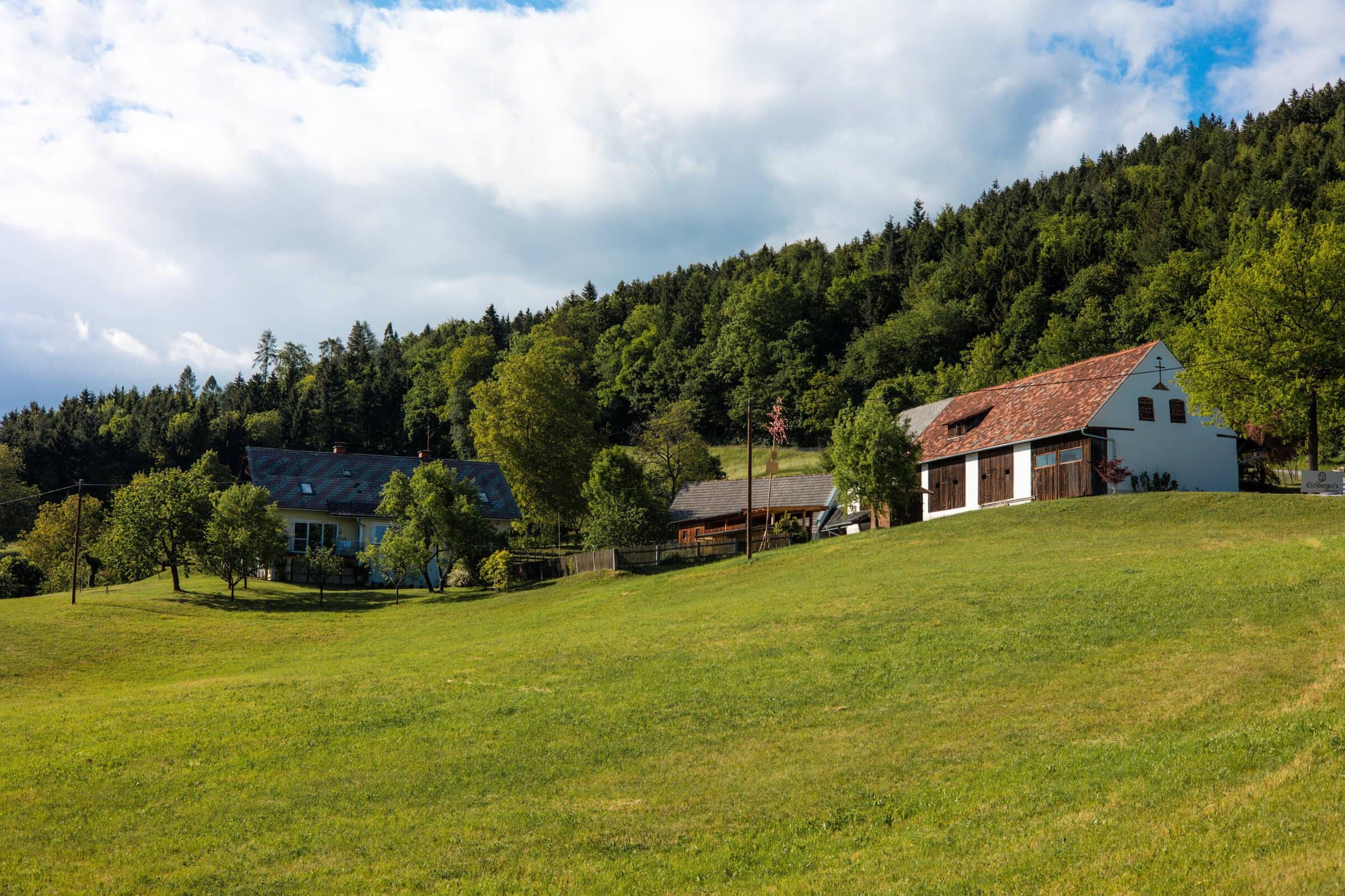 Grüne Wiesen, Bäume und Eichberger´s Hof vor einem bewaldeten Hügel.