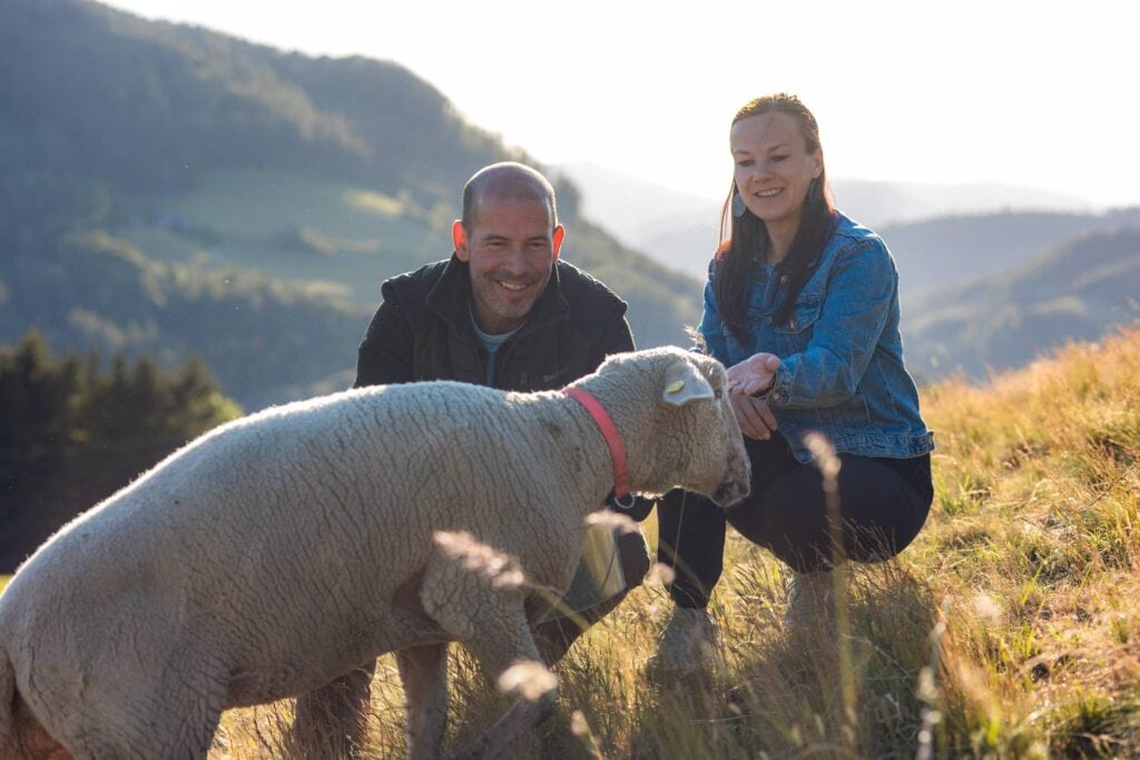 Glückliches Paar mit Schaf in der Natur bei Sonnenuntergang.
